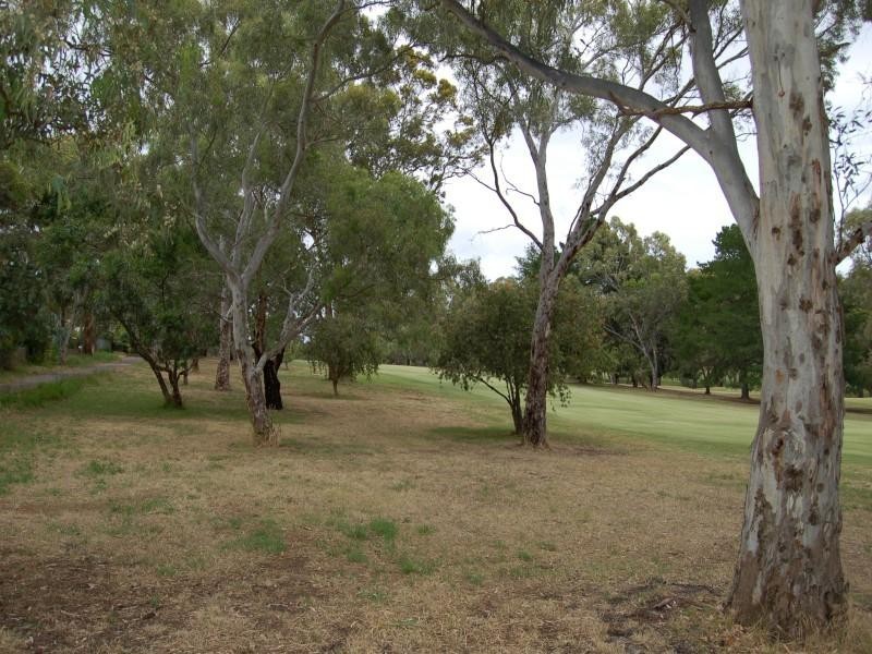 38 Fairlie Drive, Flagstaff Hill SA 5159