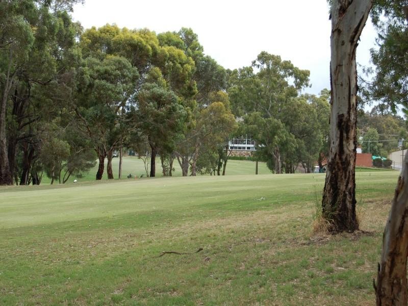 38 Fairlie Drive, Flagstaff Hill SA 5159