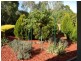 65 Homestead Drive, Aberfoyle Park SA 5159