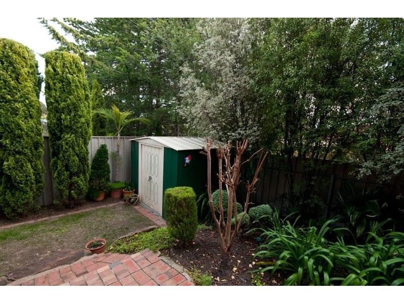 6 Pimelea Crescent, Flagstaff Hill SA 5159