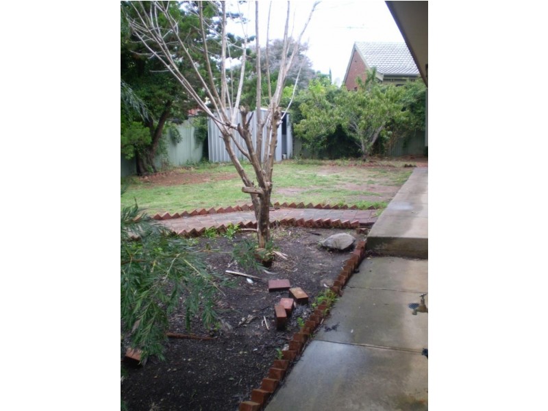 8 Woodham Court, Aberfoyle Park SA 5159