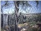 11 HAMILTON TERRACE, Paradise SA 5075