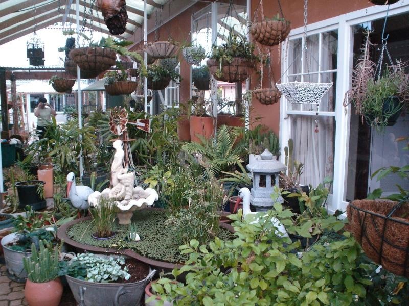 48 Jervois Avenue, Magill SA 5072