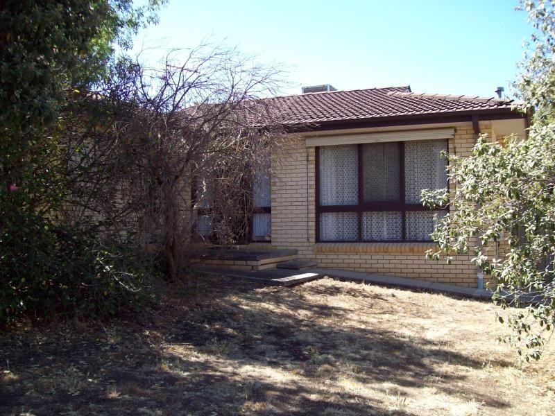 43 Ryan Avenue, Athelstone SA 5076