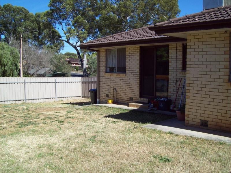 43 Ryan Avenue, Athelstone SA 5076