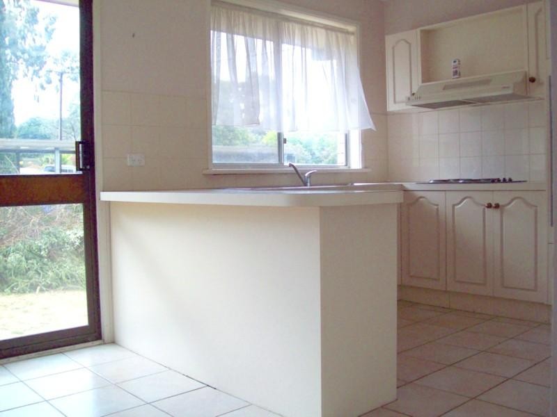 43 Ryan Avenue, Athelstone SA 5076