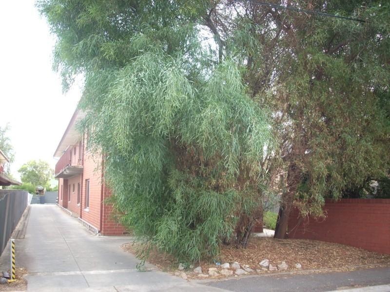 Unit 4/14 Argyle Street, Prospect SA 5082