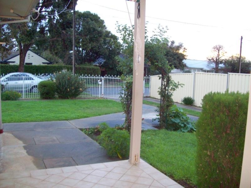 11 Athol Avenue, Tranmere SA 5073