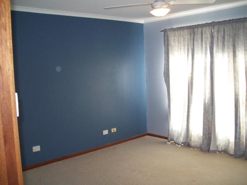 12 Laver Street, Hectorville SA 5073