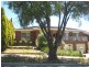 6 Tabitha Drive, Athelstone SA 5076