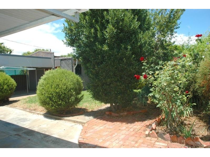 5 Koonga Avenue, Prospect SA 5082