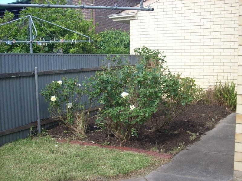 Unit 4/56 Northcote Terrace (Cnr of Stephen Terrace), Gilberton SA 5081