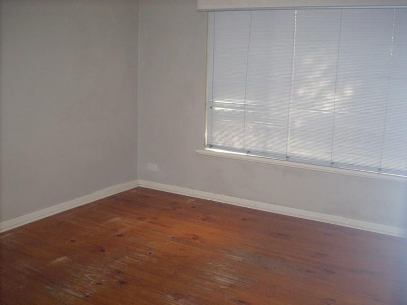 16 Silvermere Avenue, Paradise SA 5075