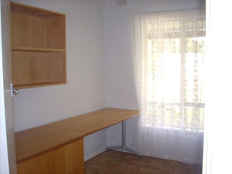 16 Silvermere Avenue, Paradise SA 5075