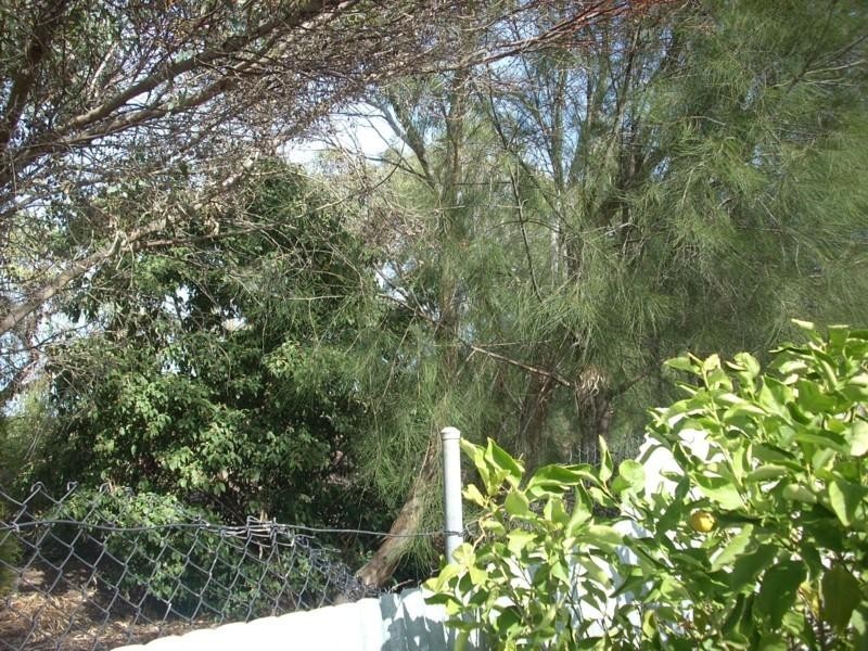 16 Silvermere Avenue, Paradise SA 5075