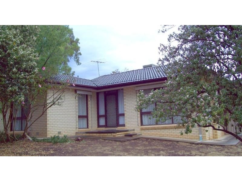 43 Ryan Avenue, Athelstone SA 5076