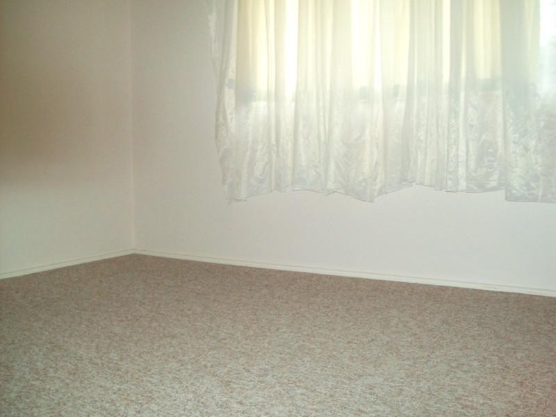 43 Ryan Avenue, Athelstone SA 5076