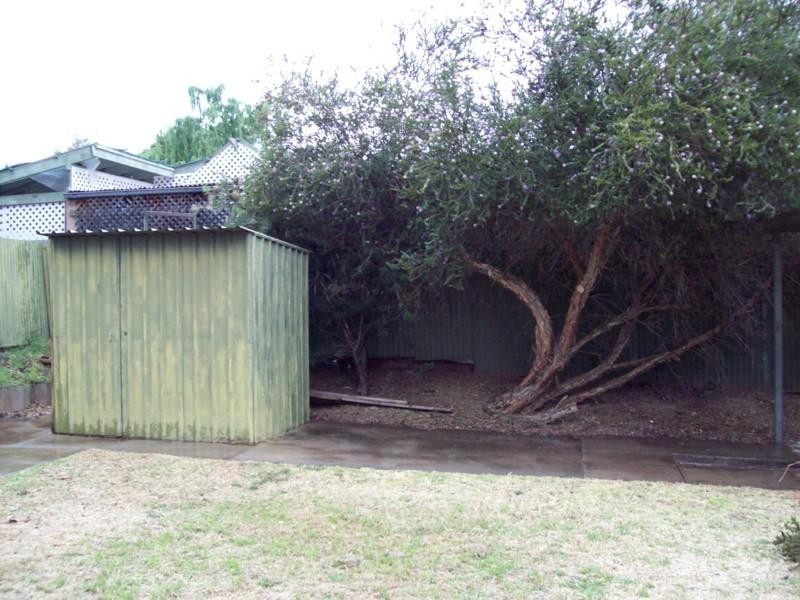 43 Ryan Avenue, Athelstone SA 5076