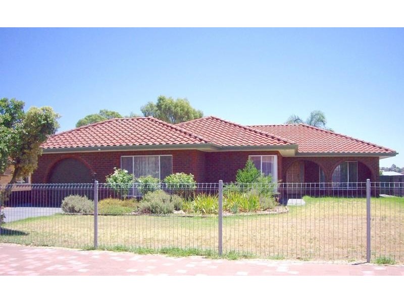 11 Hamilton Terrace, Paradise SA 5075
