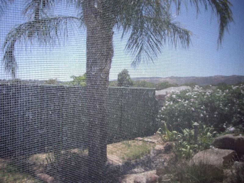 11 Hamilton Terrace, Paradise SA 5075