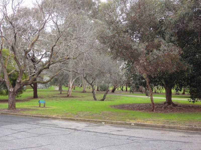 7 Willow Crescent, Campbelltown SA 5074