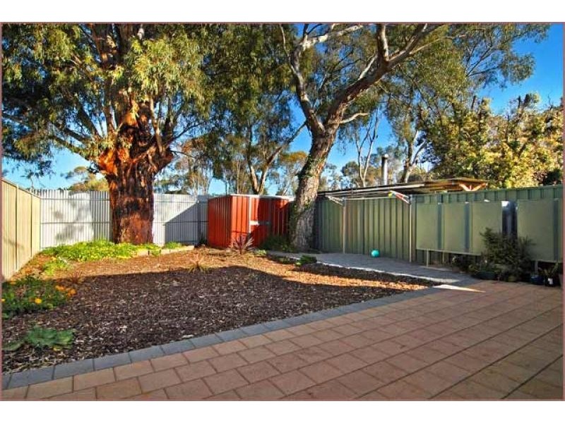16A Gameau Road, Paradise SA 5075