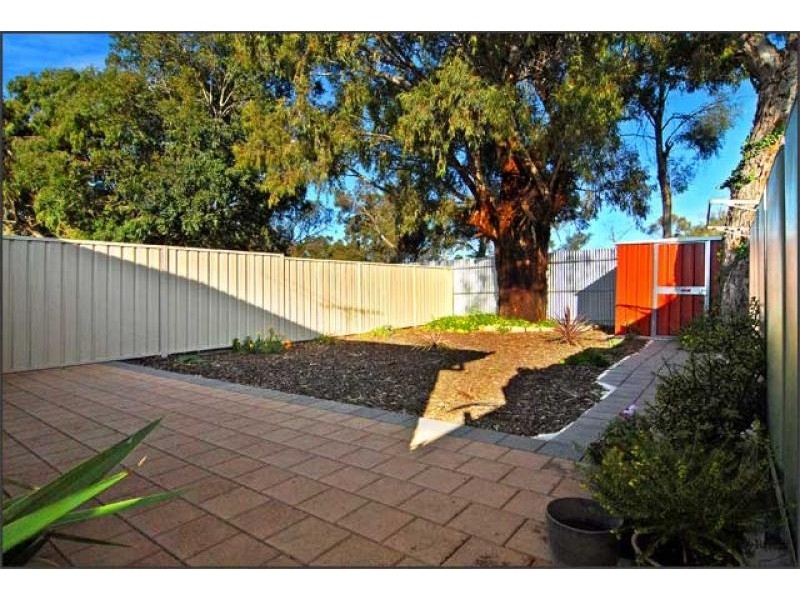 16A Gameau Road, Paradise SA 5075