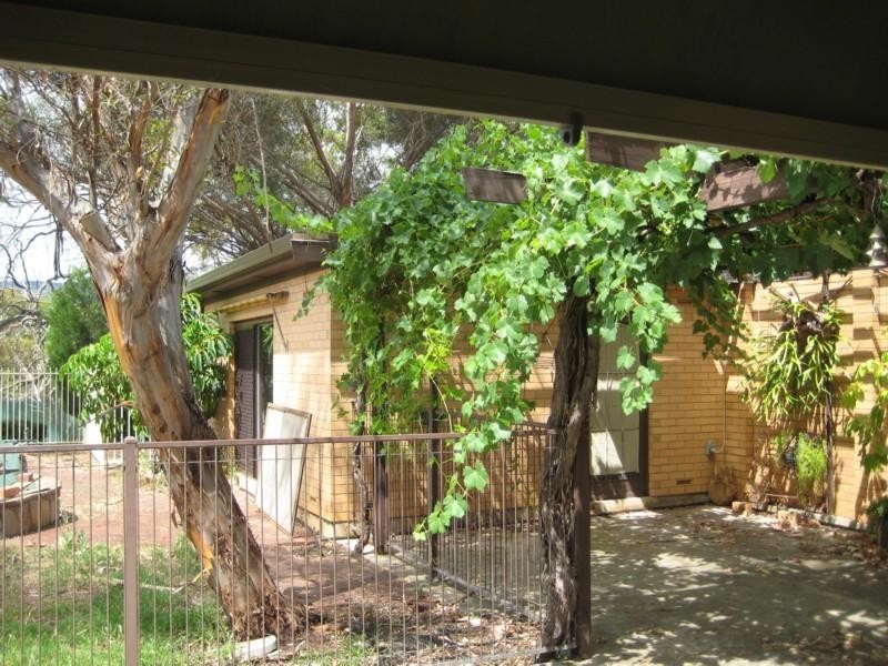 13 Coventry Drive, Athelstone SA 5076