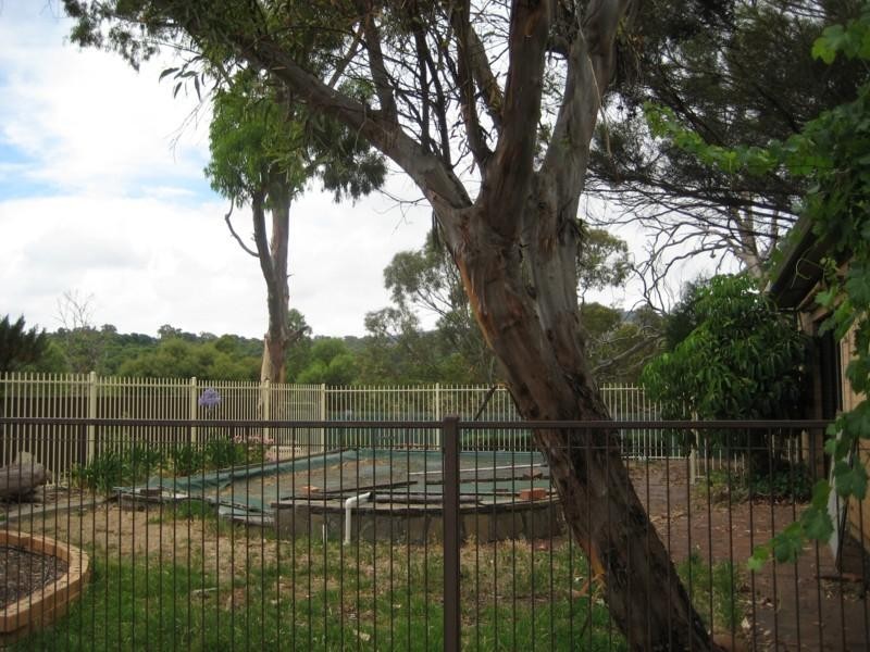 13 Coventry Drive, Athelstone SA 5076