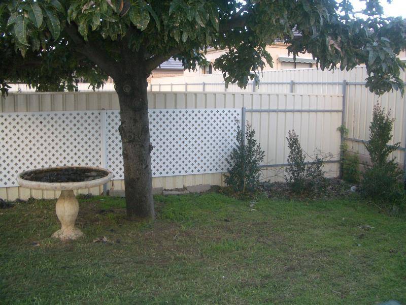 156 BRIGHTON ROAD, Somerton Park SA 5044