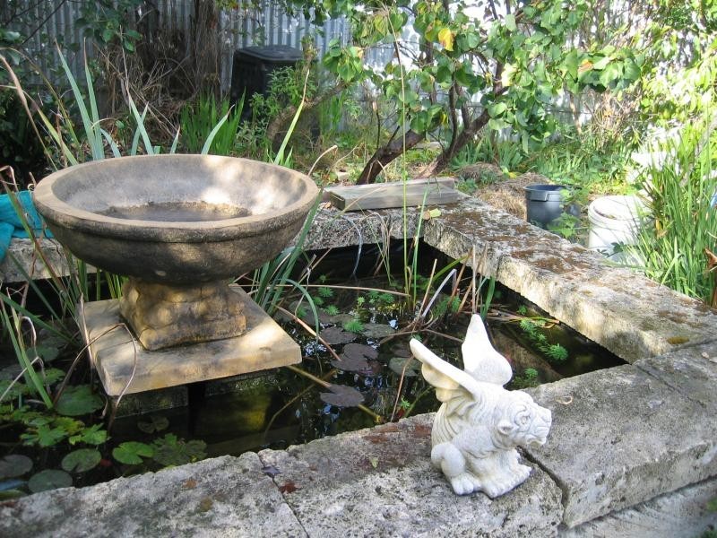 35 KANDAHAR CRESCENT, Colonel Light Gardens SA 5041