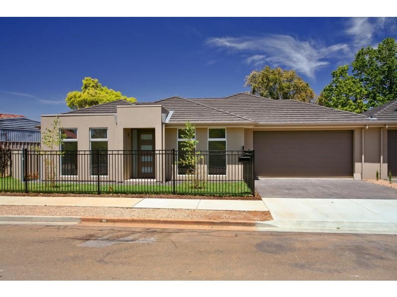 7 Tilden Street, Plympton SA 5038