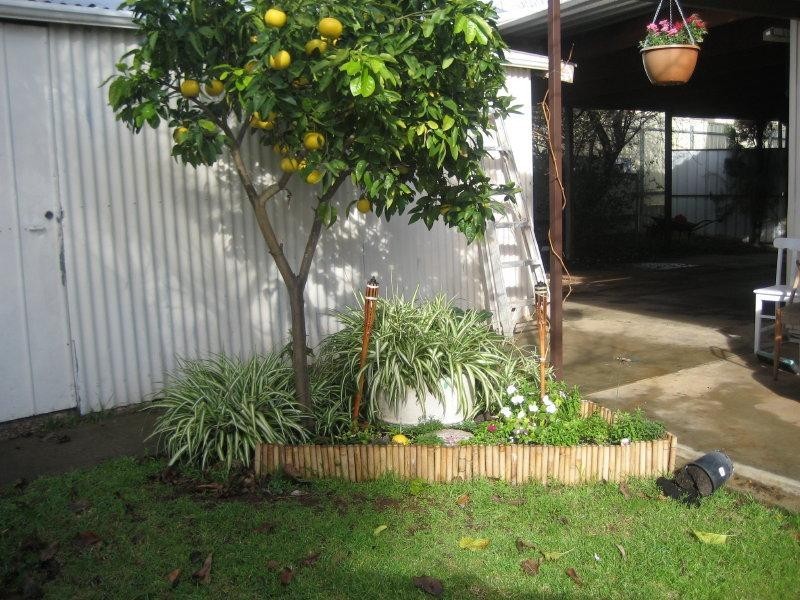 1 Yerong Street, Seacombe Gardens SA 5047