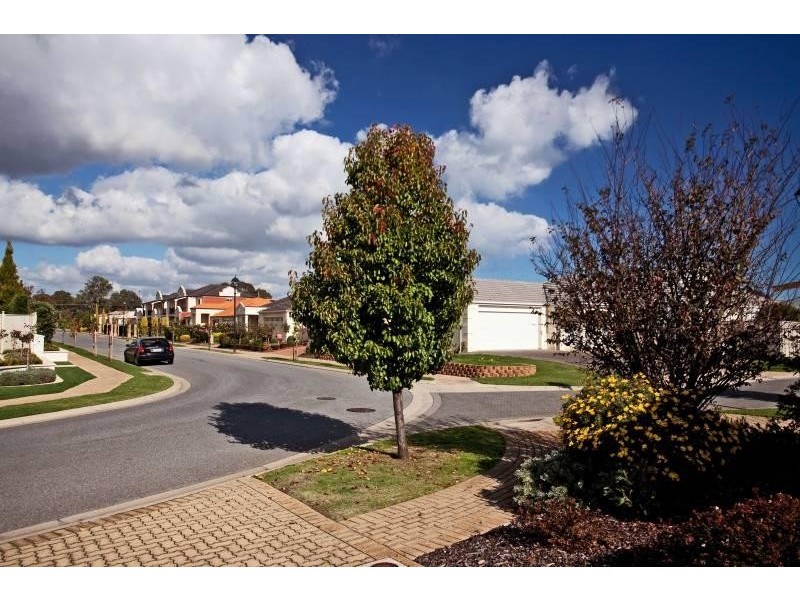 29 Chittleborough Circuit, Morphettville SA 5043