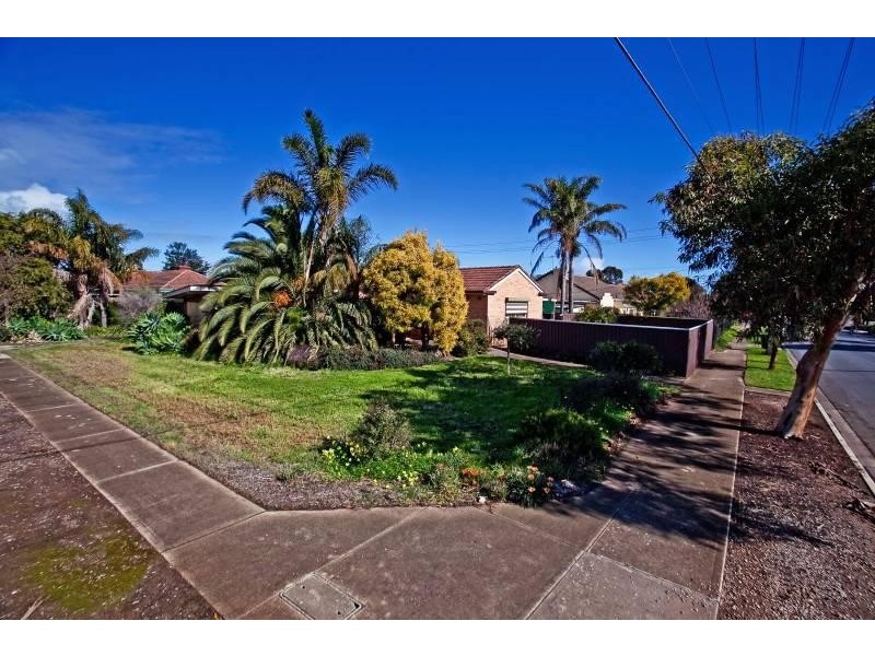 6 Cobham Avenue, Morphettville SA 5043