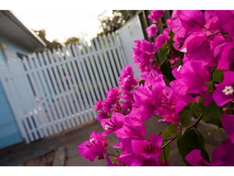 38 Kingston Avenue, Seacombe Gardens SA 5047