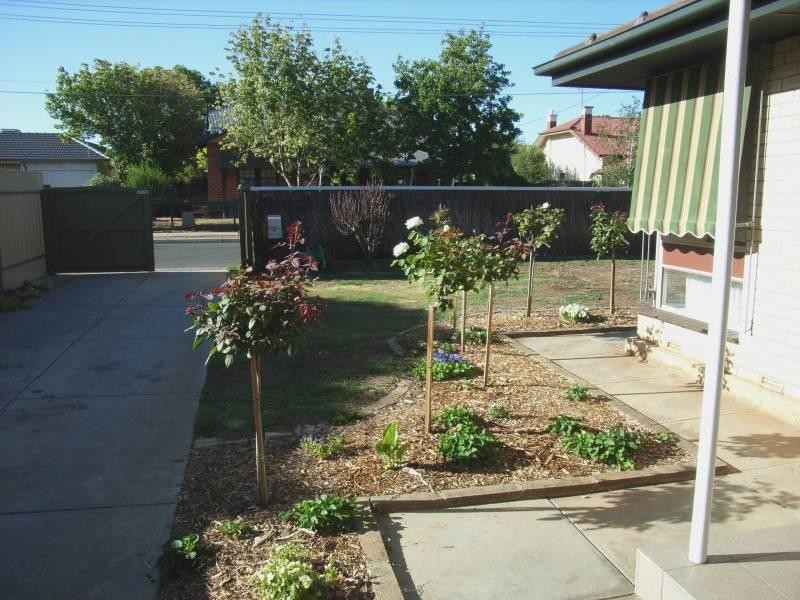 38 Stopford Road, Hove SA 5048