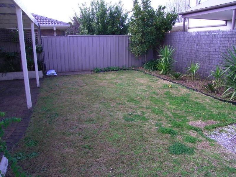 34 ALAWOONA AVENUE, Mitchell Park SA 5043
