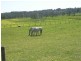 Lot 5 Battunga Road, Echunga SA 5153