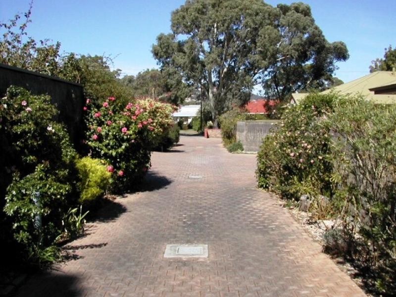 5/5-9 Olive Street, Magill SA 5072