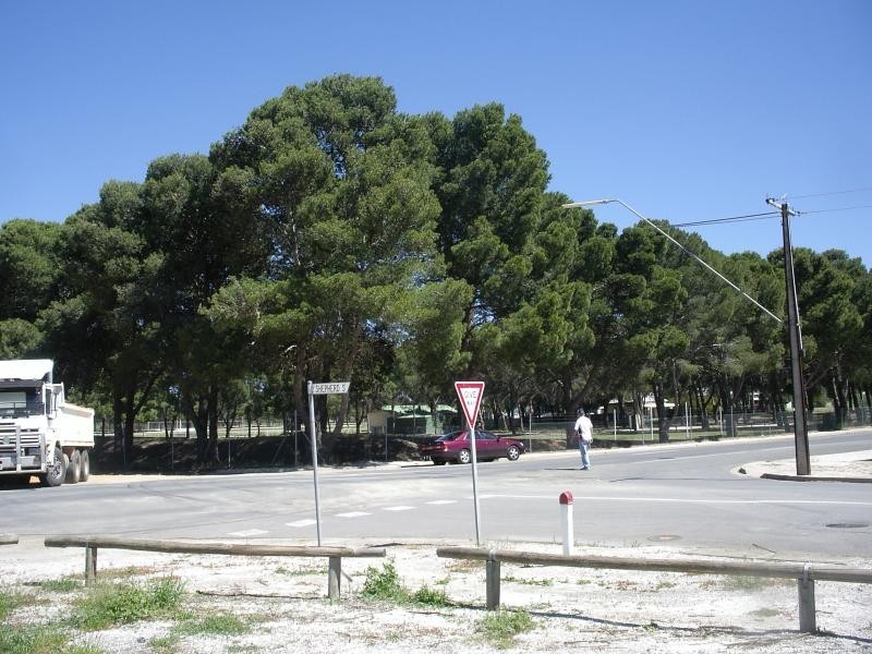 Lot 2/ Hanson Road, Freeling SA 5372