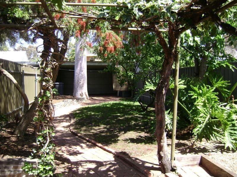 127 Robsart Street, Parkside SA 5063
