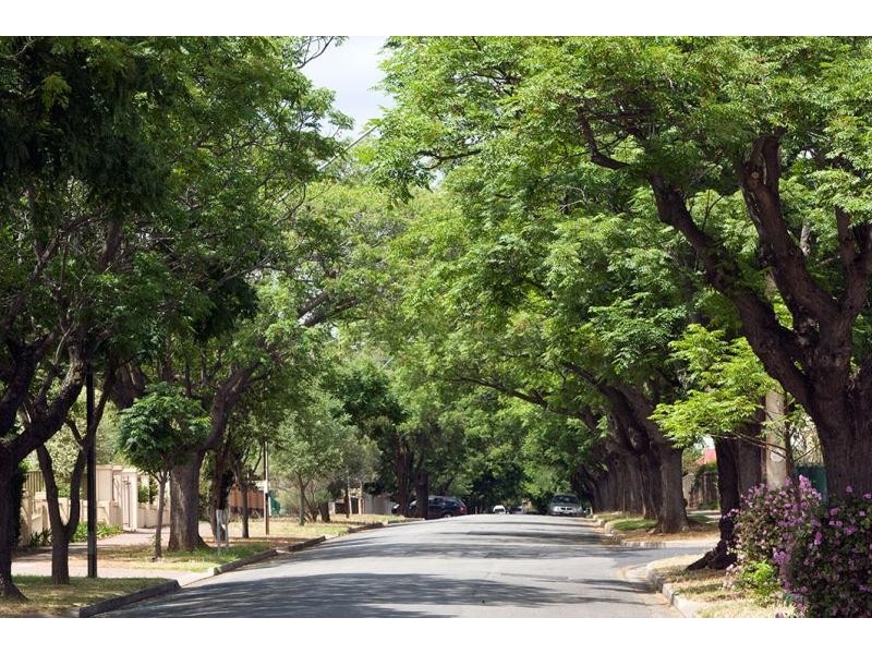 20 Warren Avenue, Prospect SA 5082