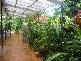 Nightcliff NT 0810