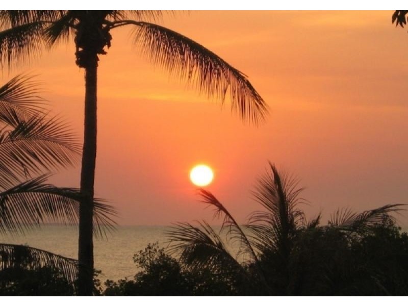 4 Kurrajong Crescent, Nightcliff NT 0810