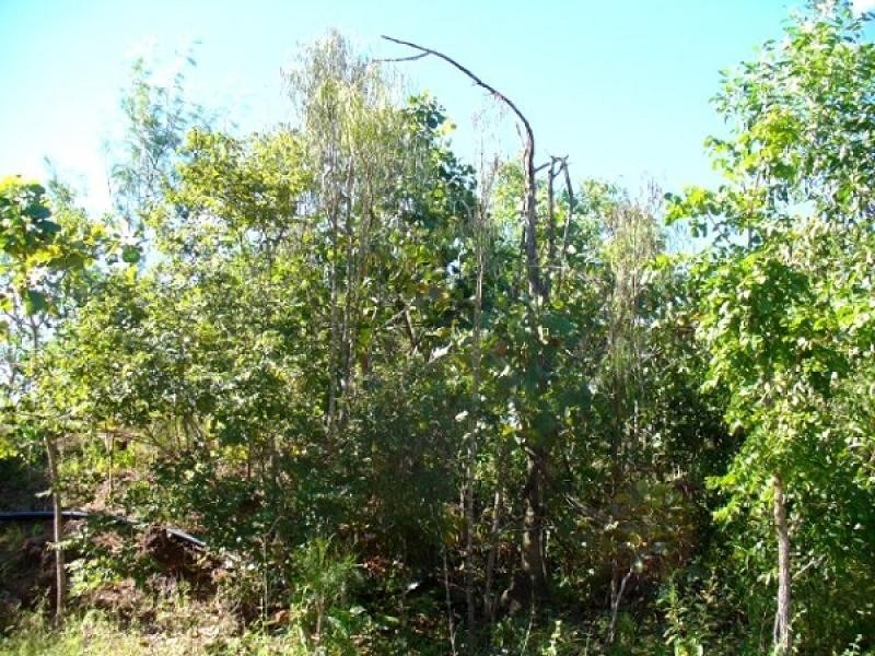 Section 2941 Fog Bay Road, Dundee Beach NT 0840