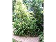 15 STEDCOMBE STREET, Alawa NT 0810