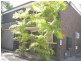 1/7 Charles Street, Stuart Park NT 0820