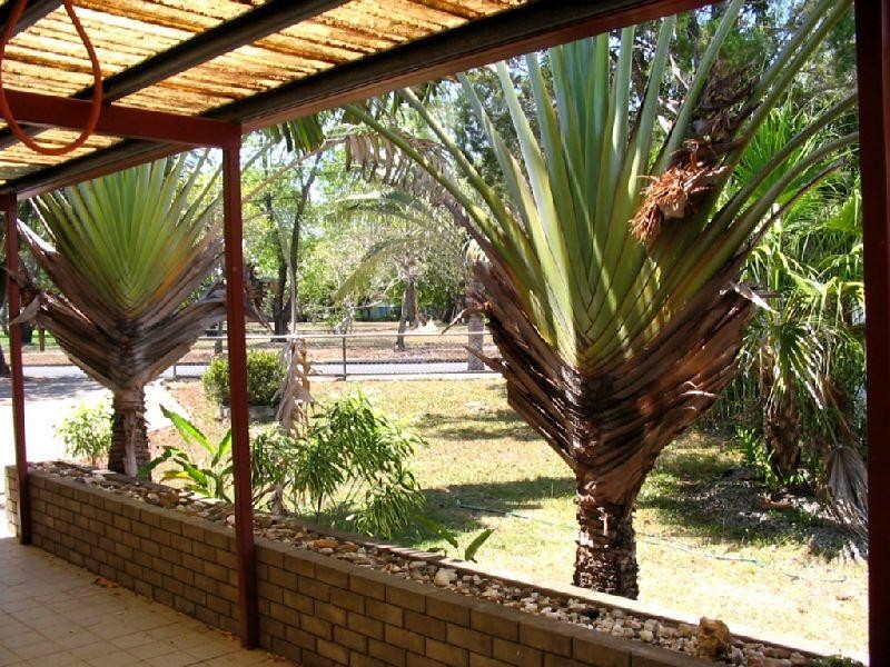 5 Higgs Street, Moil NT 0810