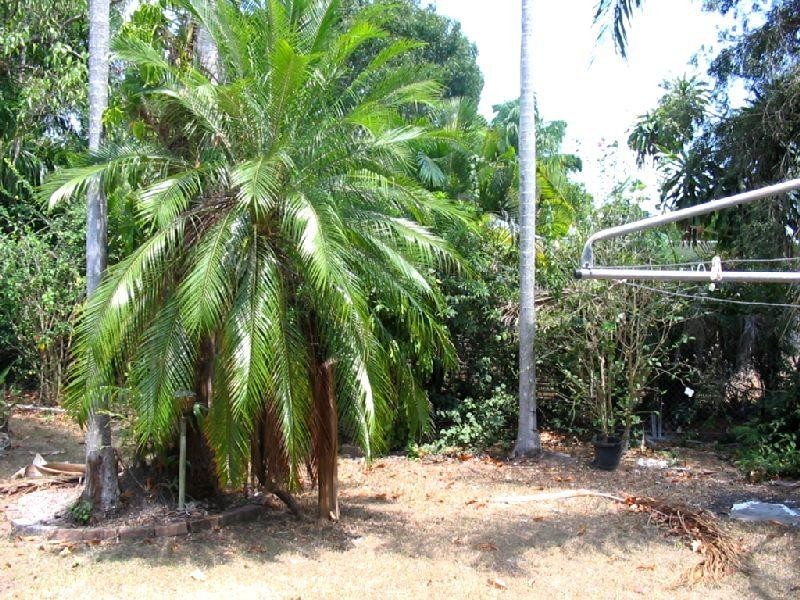 5 Higgs Street, Moil NT 0810